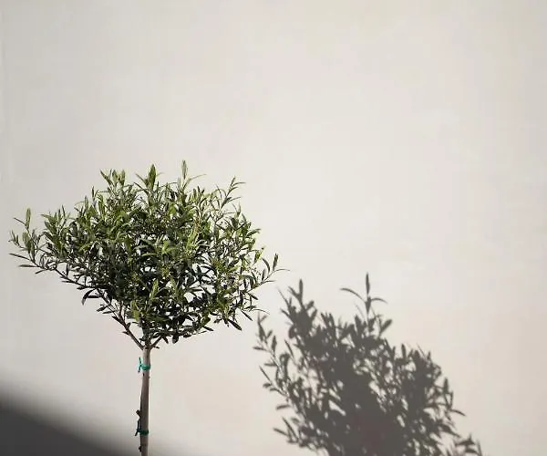 شقة Areos Luxury Vóthon